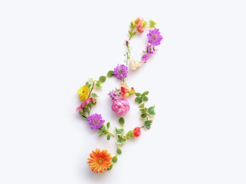 亀田ピアノ教室